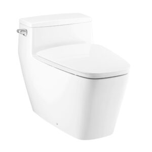 Premium Ergonomic Ceramic Toilet Commode – White Gloss Finish (Copy)